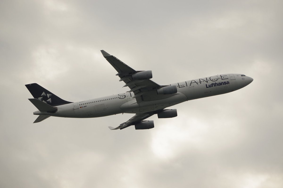 TJ (@BUSHIDO6923) / Posts / X