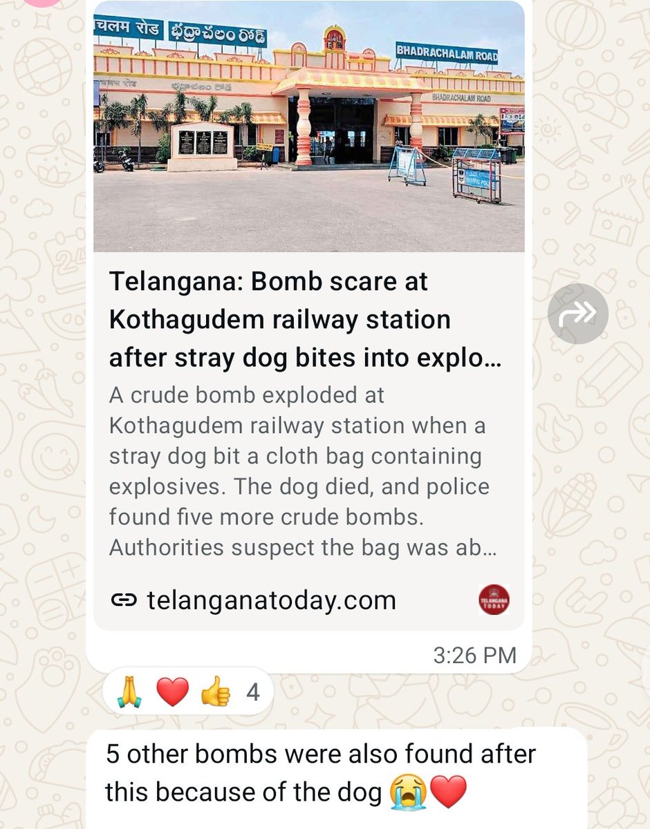 PashuPakshiSena's tweet photo. @JahnaviIyer @PMOIndia @HMOIndia @aayeshavarma @PercyBillimoria @DarPallavi @ndtv @ANI @indSupremeCourt    you asked to remove community dogs from Railway stations , a dog detected bombs and saved lives
@narendramodi  @Manekagandhibjp  we need state honour for the brave dog https://t.co/g8tgozjfkA