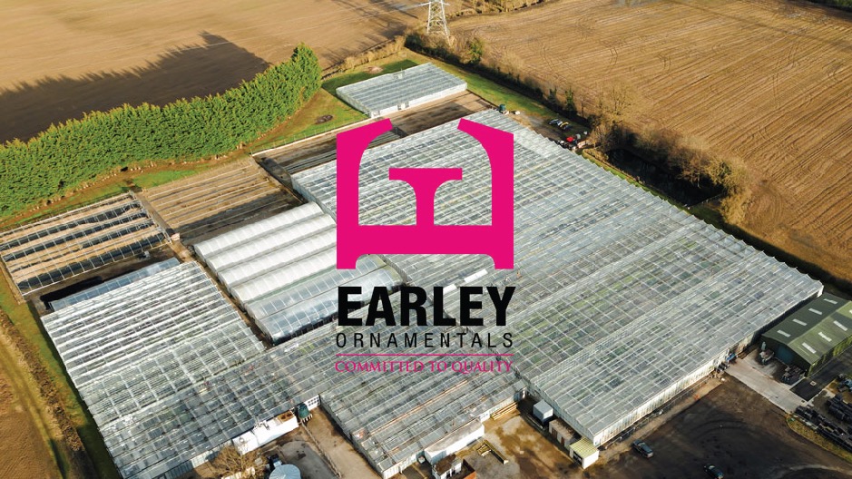 Earley Ornamentals tweet media