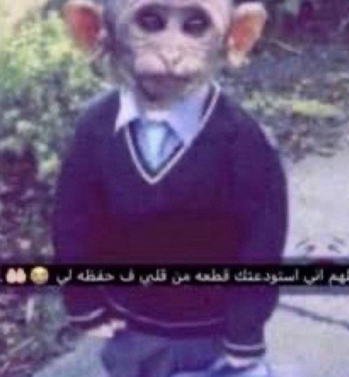 JA (@ja0fc) on Twitter photo 