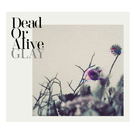 G-DIRECT　OFFICIAL tweet media