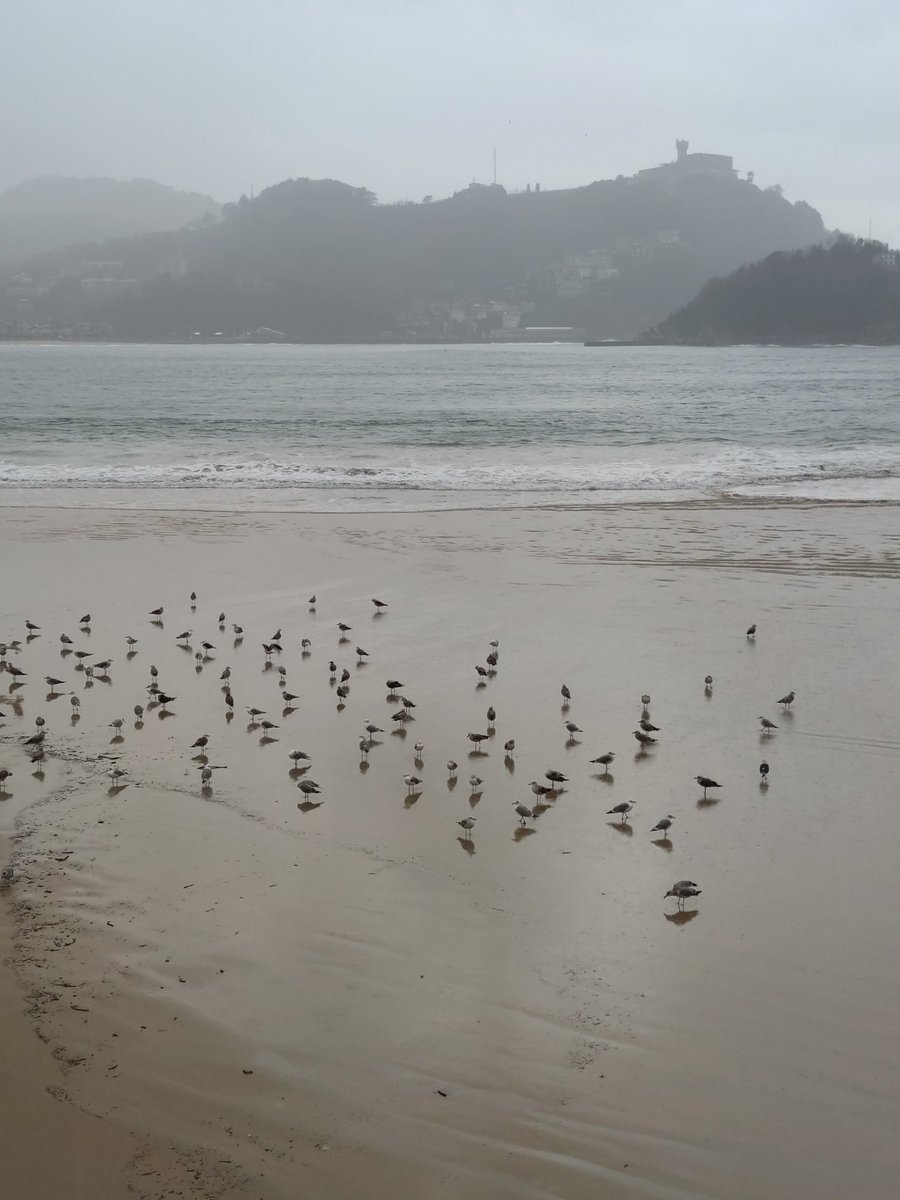 De <a href="/GipuzkoaDigital/">Gipuzkoa Digital</a>