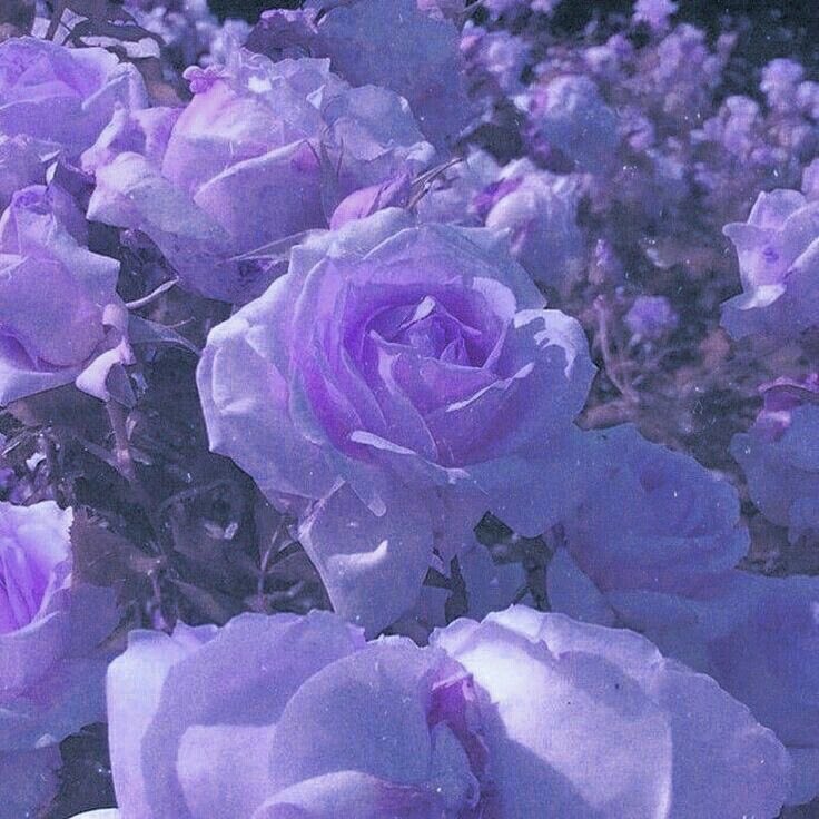 くあ@取引垢 tweet media