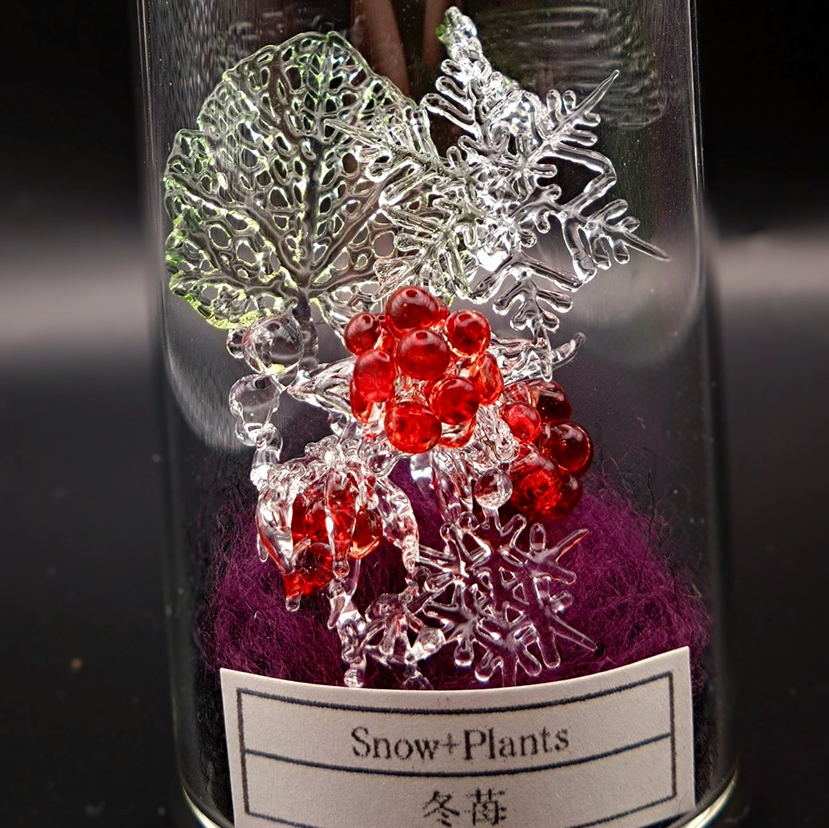 ヤドリギno.79 やや大型 ヤドリギno.79 やや大型 神戸イルミナージュ