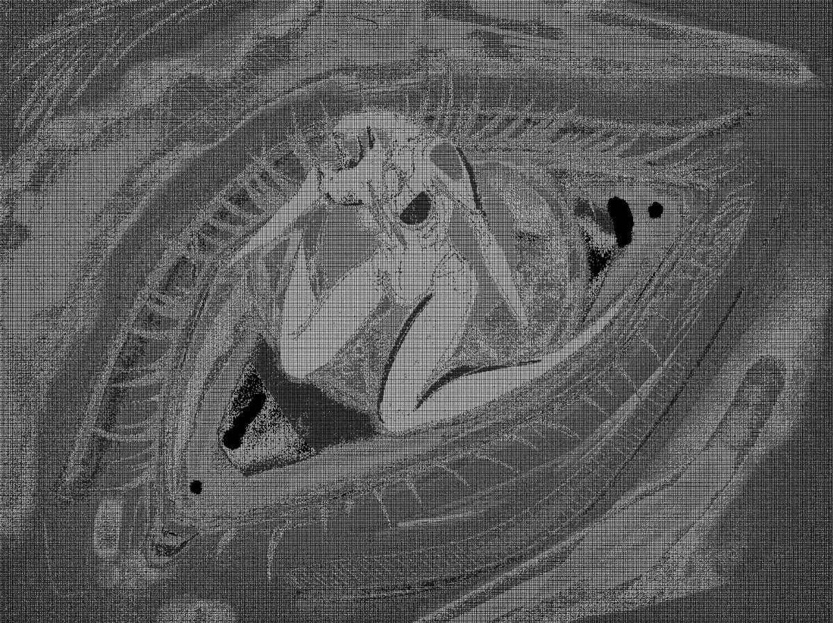 p1abypia tweet picture