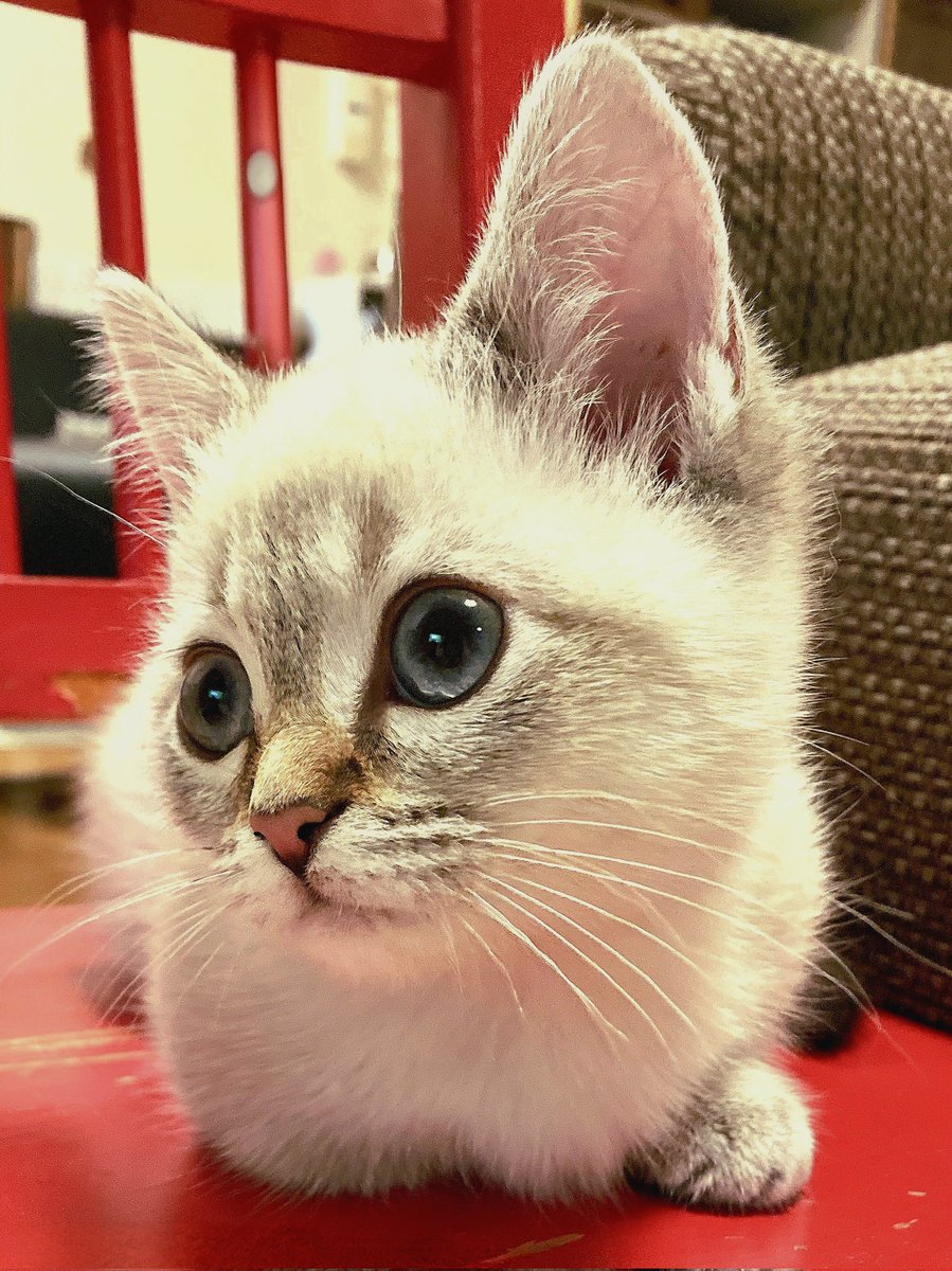 まるママ (@maruchannel0820) / Posts / X