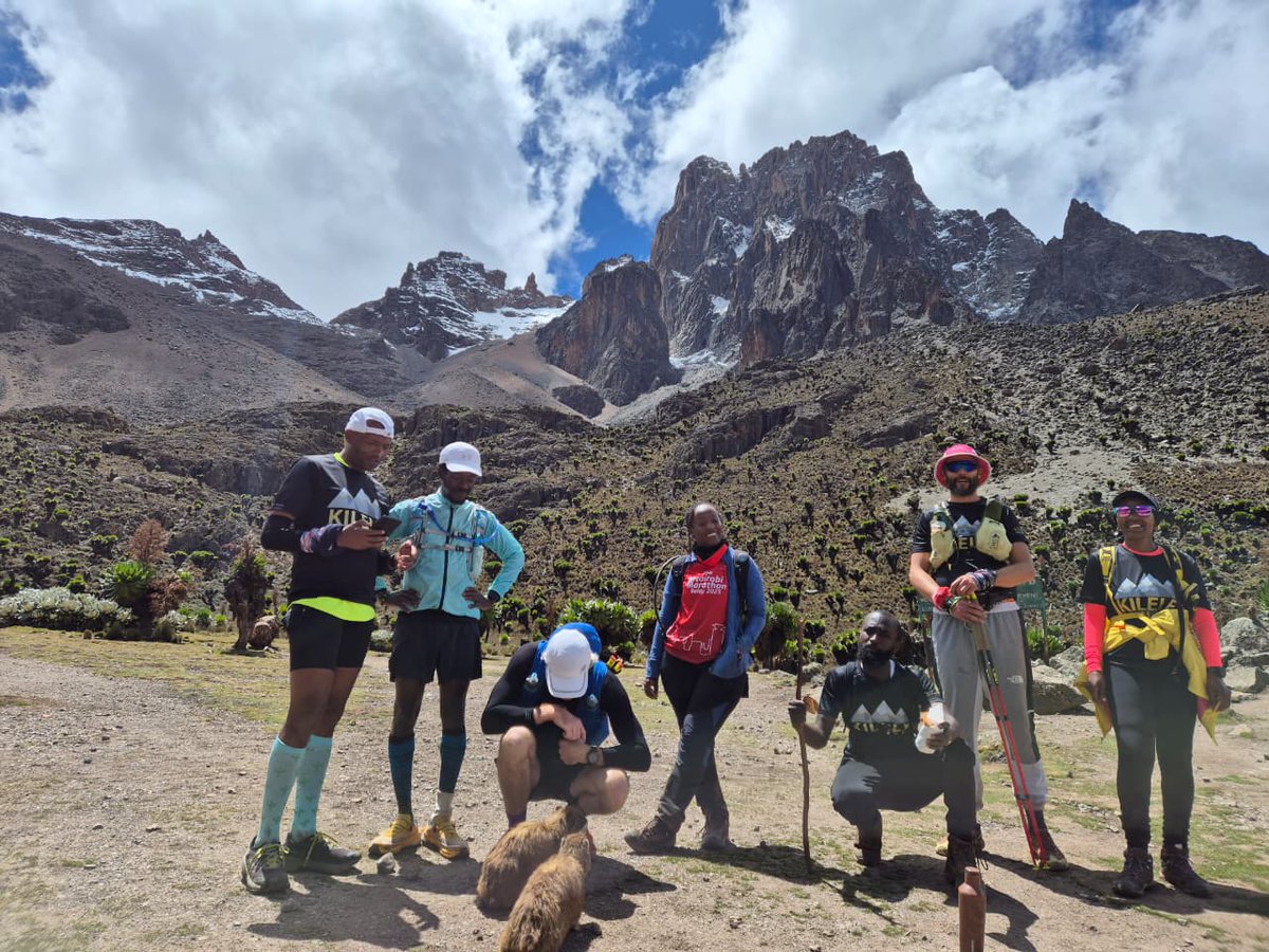 KILELE Health tweet media