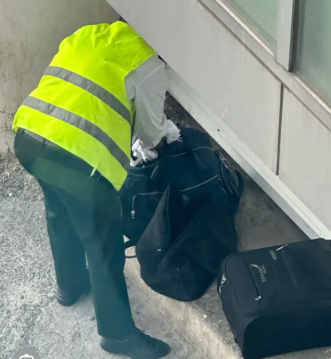 EriLion 💎 tweet media