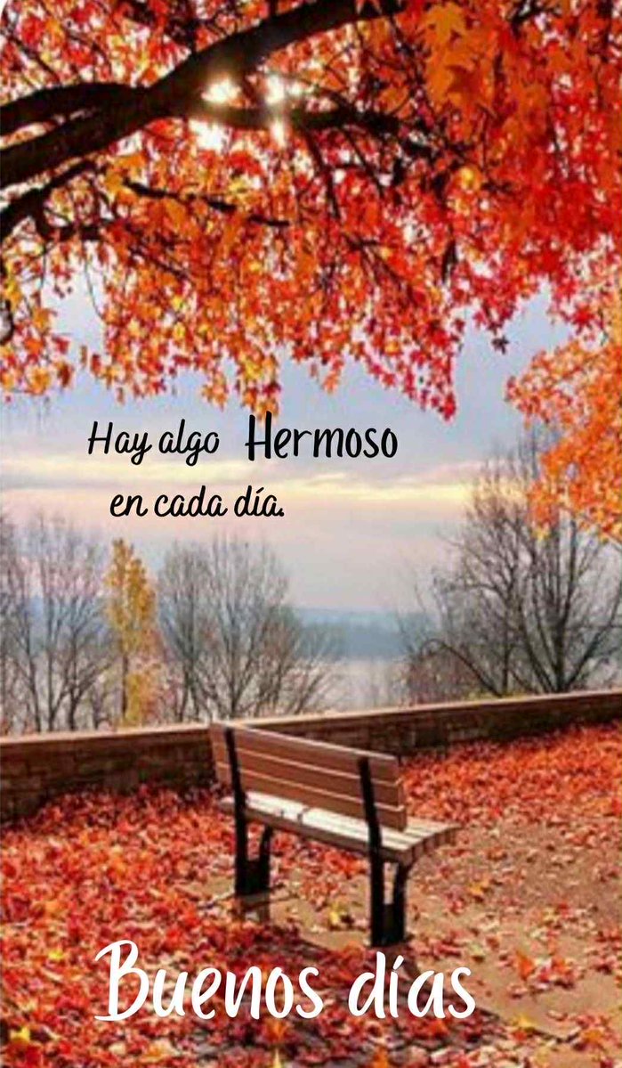 “Señor Jesús, gracias por este nuevo día que nace en Tu luz. Que tu paz sea guía en cada decisión y tu amor sea fuerza en cada paso. Te entrego mi vida, mis pensamientos y a quienes amo, confiando en que Tú los cubres con tu protección. Que hoy todo sea para tu gloria. Amén.”