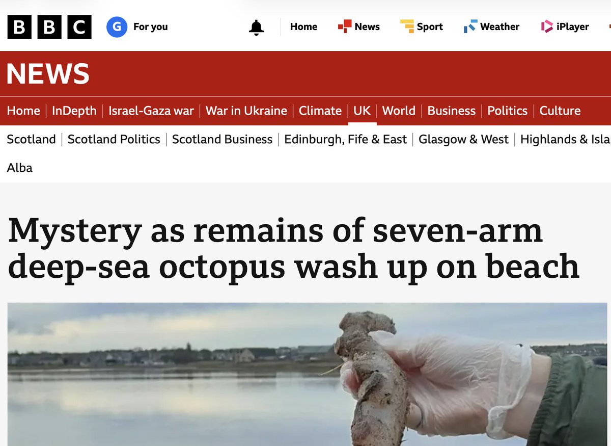 Cipher_Master's tweet image. bbc.co.uk/news/articles/…

@BBCnews - surely heptopus?