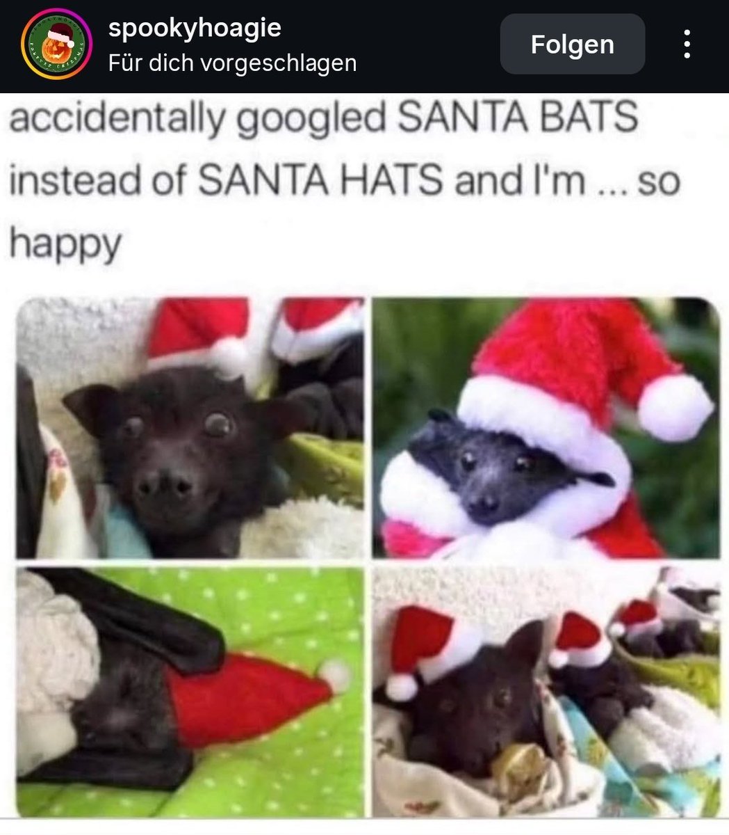 Fledermaus 🦇🪞 (@mockingbat) on Twitter photo 