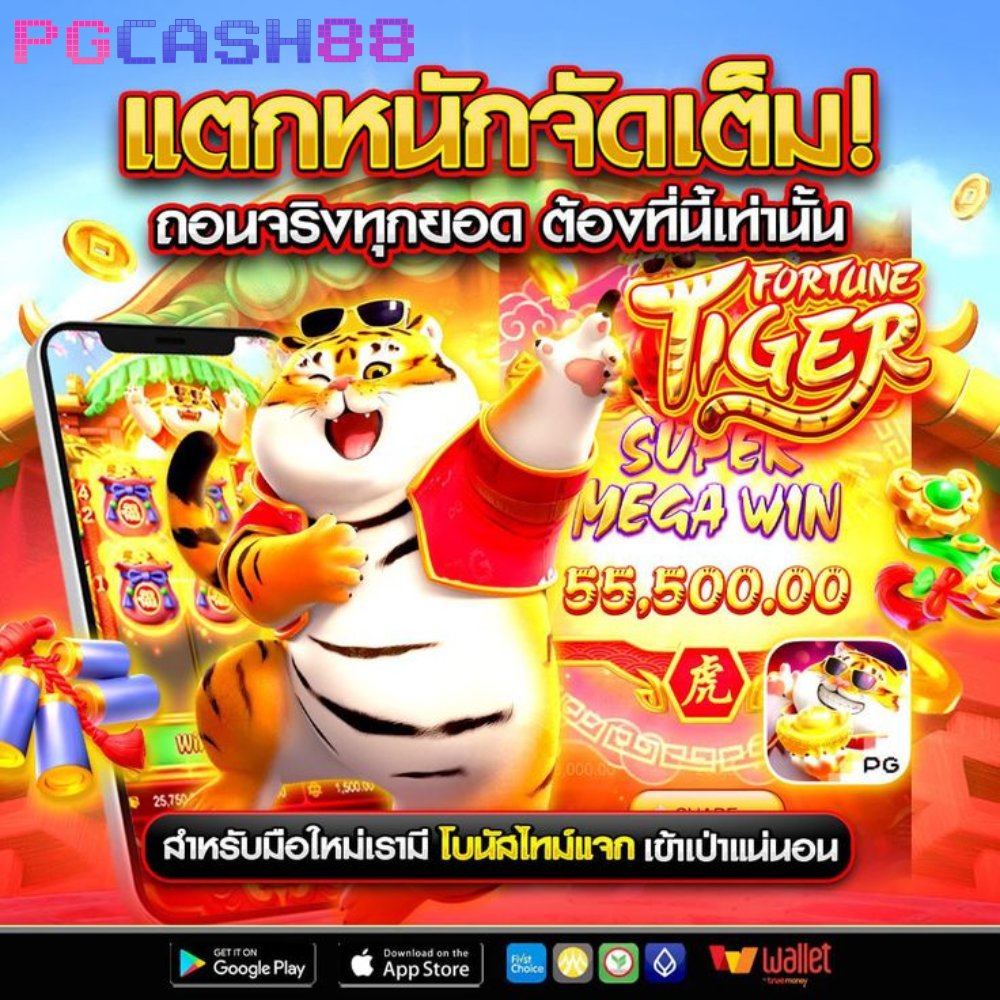 pgcash88_th's tweet photo. 🐯 Fortune Tiger เสือแห่งโชคลาภกำลังมา!
หมุนสนุก ลุ้นรับความเฮงทุกครั้ง
✨ เสือทองพร้อมพาไปหารางวัลใหญ่!

🔗 คลิกเลย 👉 https://t.co/bntel18pyl

#PGCASH88 #สล็อต #สล็อตเว็บตรง #สล็อตเครดิตฟรี #สล็อตแตกง่าย #สล็อตทุนน้อย #สล็อตออนไลน์ #เว็บตรง https://t.co/xHVJRdoE0D