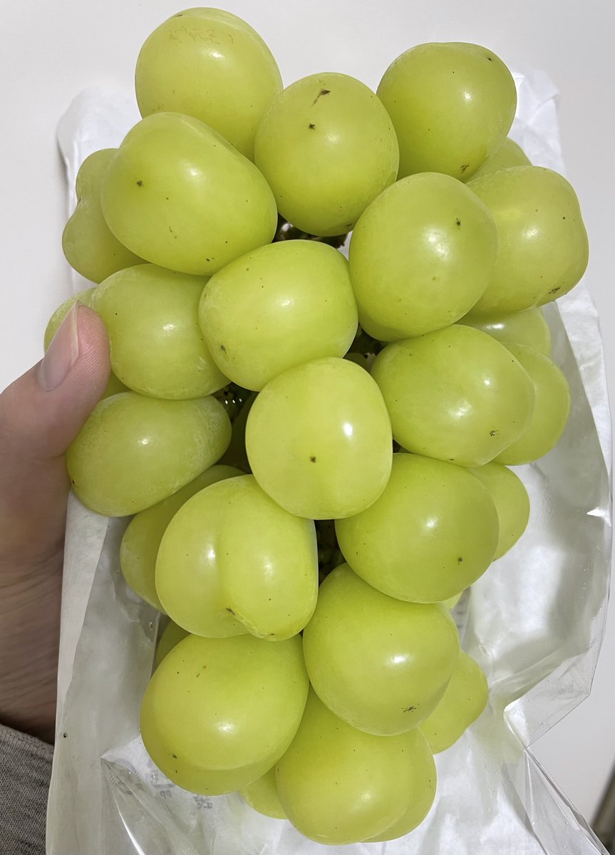Seiten0423's tweet photo. シャインもろた https://t.co/HurBUYcB9N