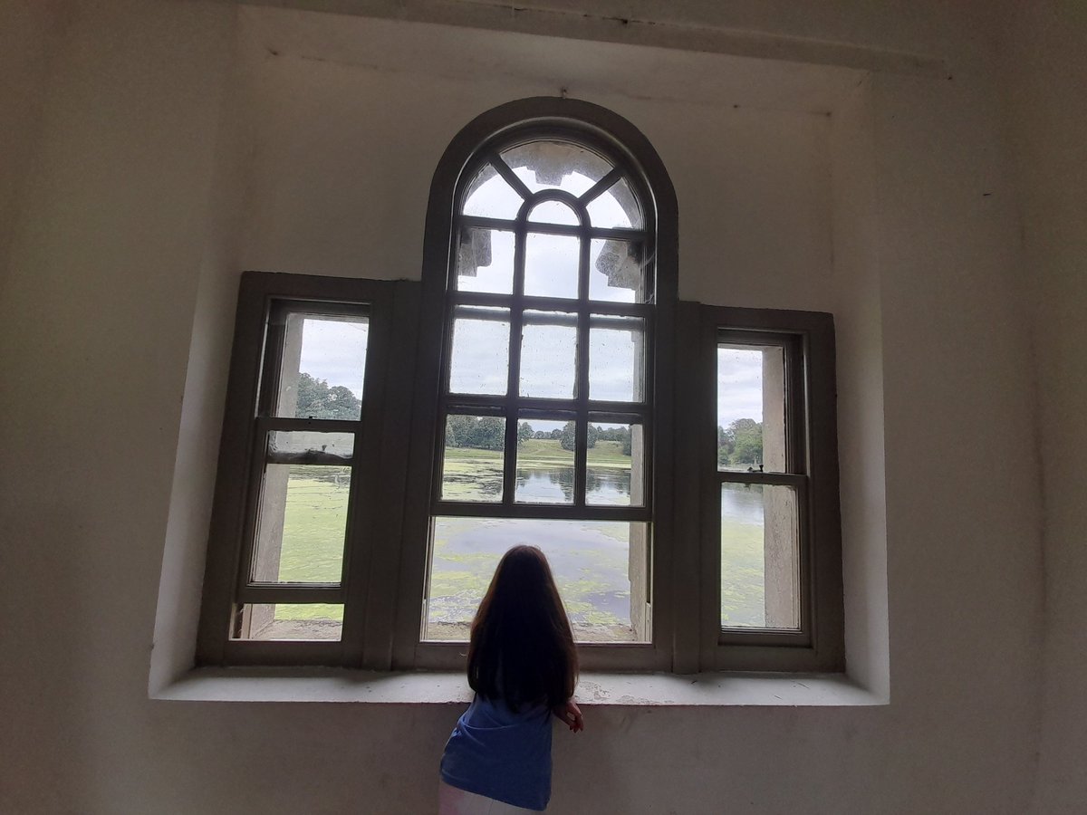 birdcampics's tweet image. #AlphabetChallenge
#WeekWforWindows