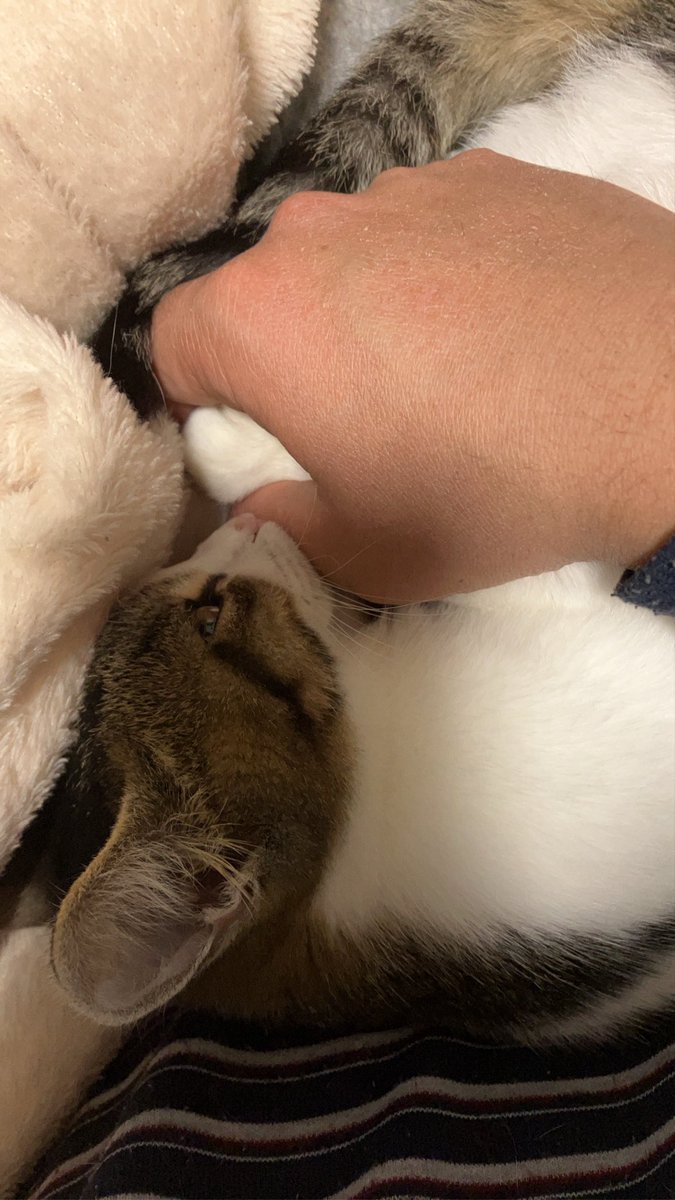 チュパチュパするの好きだよなぁ