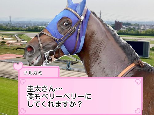 激レア写真❗トウカイテイオー　　　ダービー大外20番単枠指定❗ トウカイテイオー大外20番枠からの圧勝 単枠指定最後の年「ただ1頭