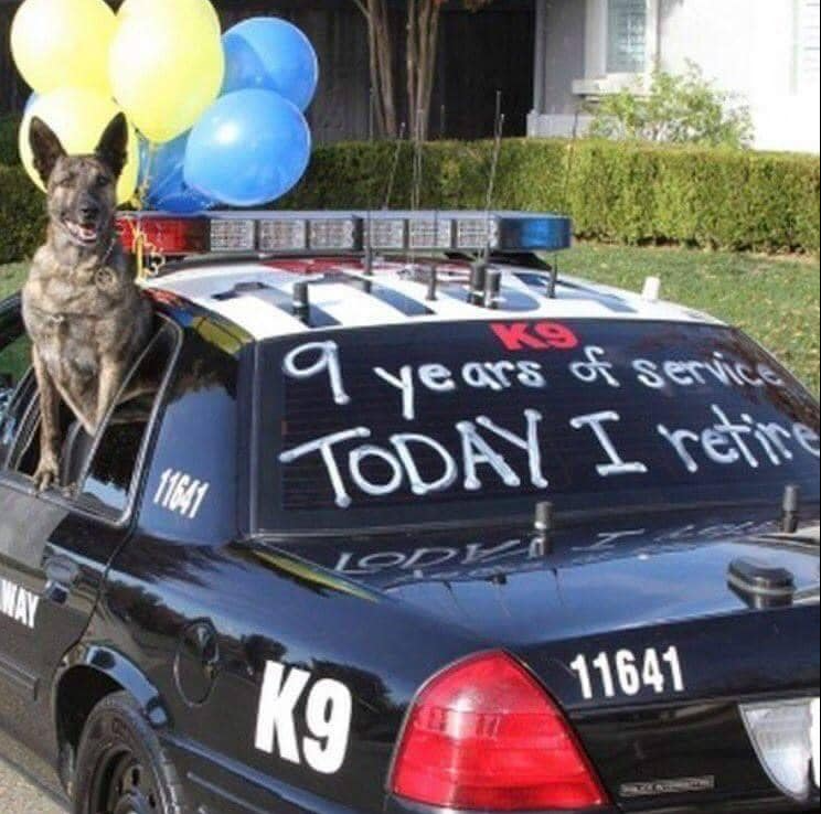 🥳