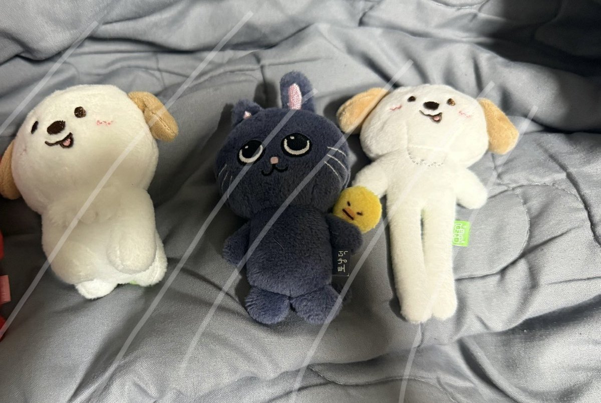 _01_wb's tweet photo. 리라즈 1기, 2기, 롱다리 인형 양도합니다

군번줄은 모두 있으나 택은 제거한 상태입니다.
괜찮으신 분들만 연락 주세요

1기 똘병이, 우락밤 3.0 (사용감 O)
2기 멍룡이, 토냥덕 3.0
롱다리 멍룡이 2.0

1기는 외출 O, 2기는 단순개봉 상태이니 유의하여 연락주세요

라이즈 양도 https://t.co/9NU6UjfKeK
