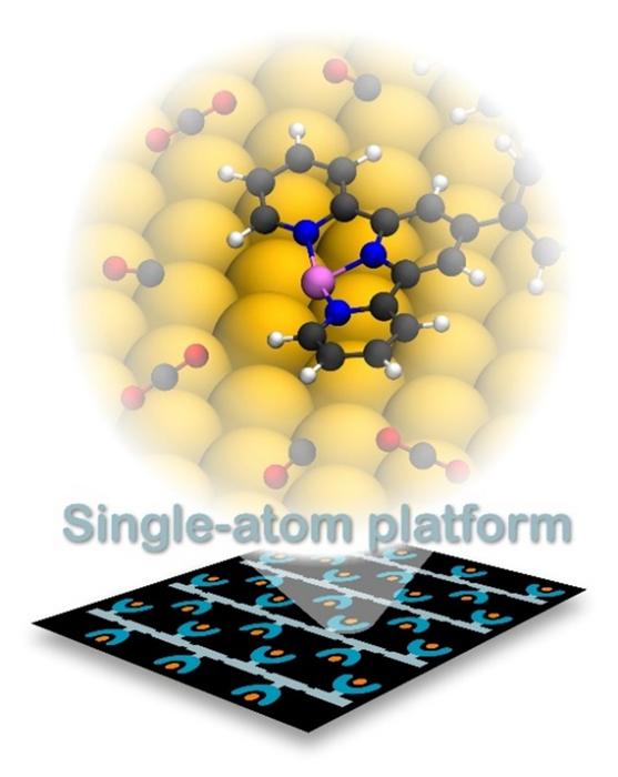 NanotechnoWorld's tweet image. With carefully designed tunable active sites, unique structure of new single atom platforms enables strong gas binding in pioneering step towards more efficient industrially-relevant catalysis.

nanotechnologyworld.org/post/atomicall…