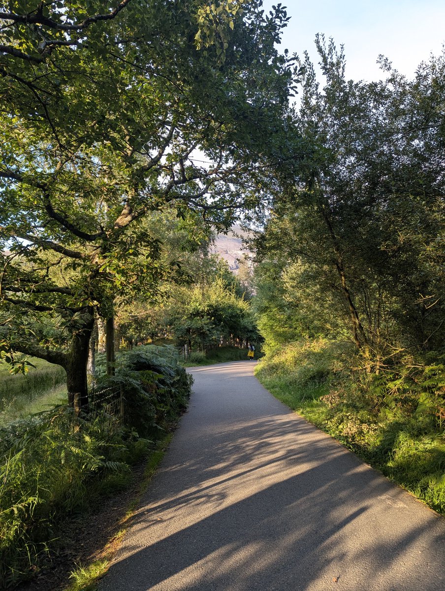 miss you gentle summer walks