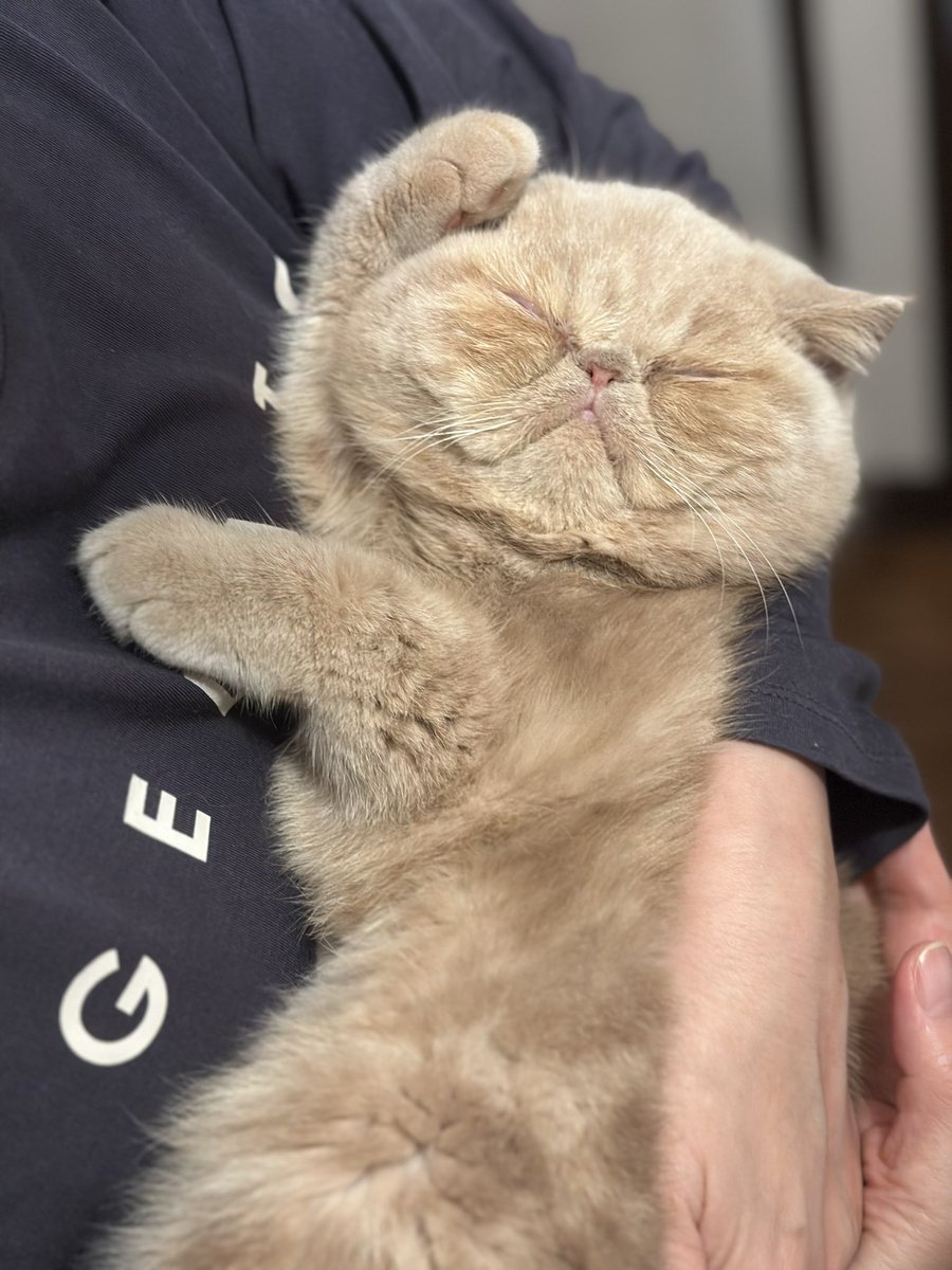 あまたんの日常 tweet media