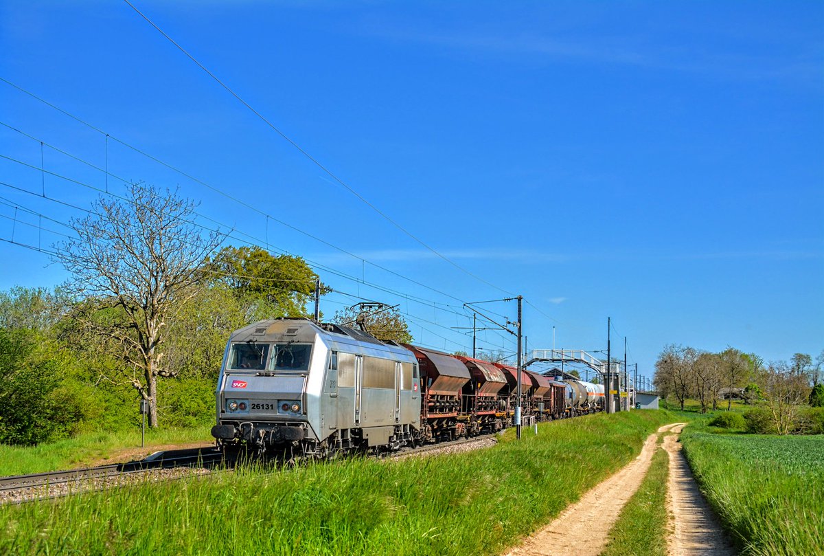 Instant #trainspotting !

Le Sibelin / Woippy passe en gare de #Gemeaux, avec la BB26131 en tête de ce train, le 03 Mai 2023.