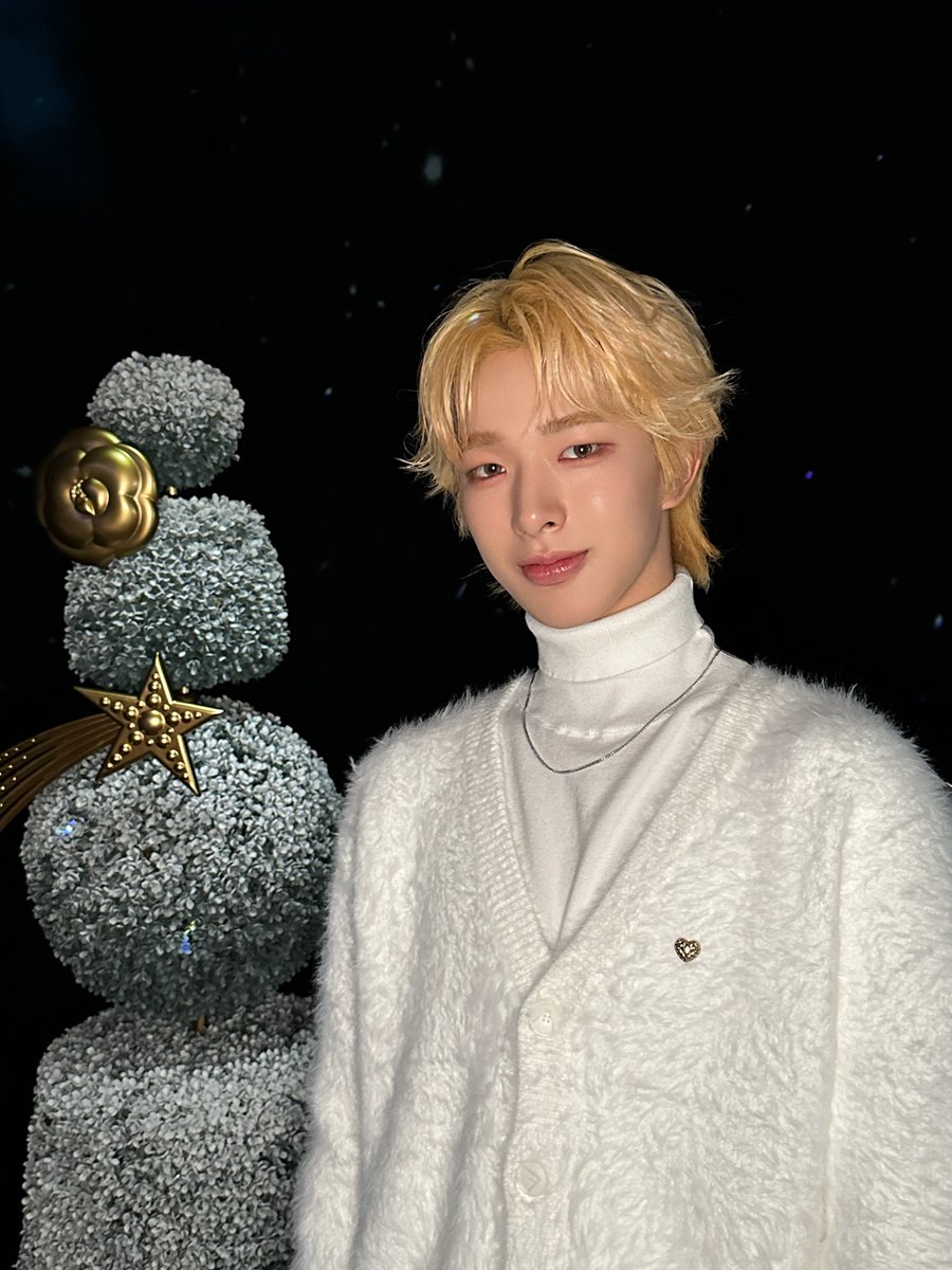 CHANEL WINTER CONSTELLATION - シャネルの星空」 素敵な景色を