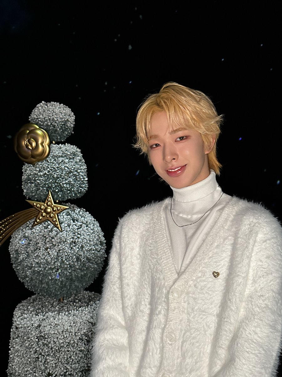 CHANEL WINTER CONSTELLATION - シャネルの星空」 素敵な景色を