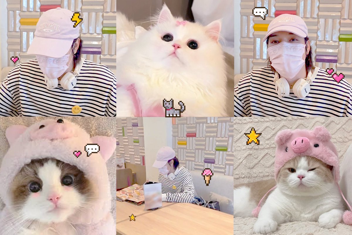 SzbTriple's tweet image. วันนี้ทุกคนเติมแมว(นานิ)แล้วหรือยัง

ส่วนสกายเติมแล้ว ✨🐱🎀🤏🏻