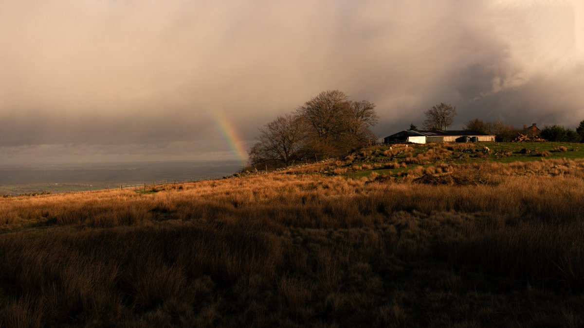 alexfelll's tweet photo. Photos I’ve taken near my home https://t.co/vZiNw2yO44
