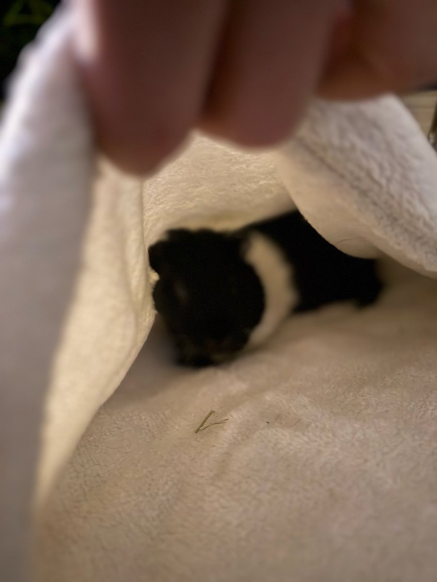 txdd's tweet image. 😴