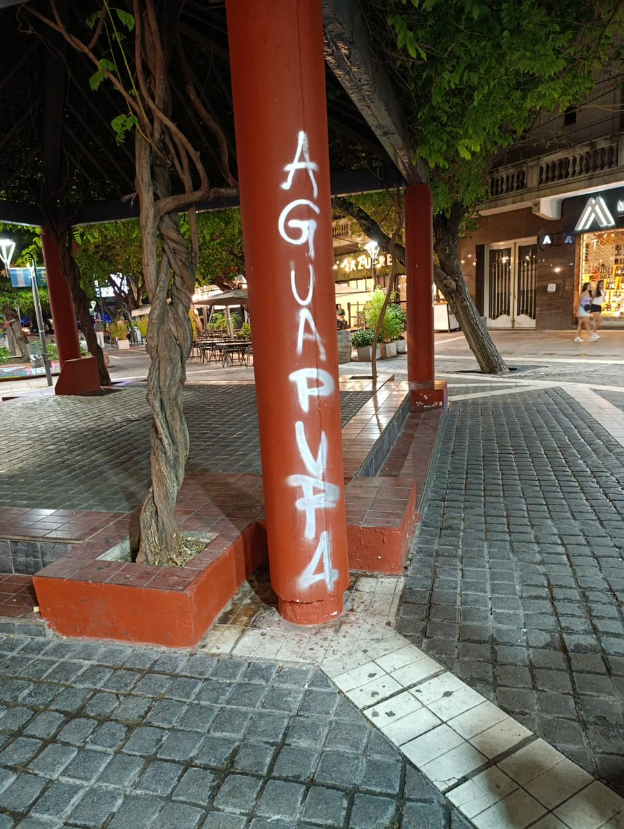 MercedesRus1's tweet image. Anoche, en la marcha, algunos grupos de antimineros eligieron la violencia y vandalizaron el microcentro. Dañaron bienes públicos que son de todos.