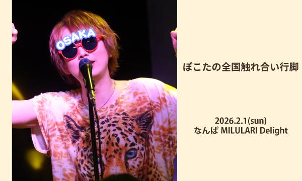 ぽこた (@pokotaegamyer) / Posts / X