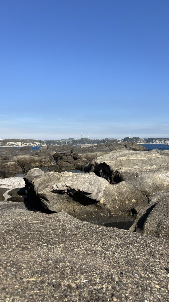 Post by 木場修(キバシュウ) on X: いた❗️