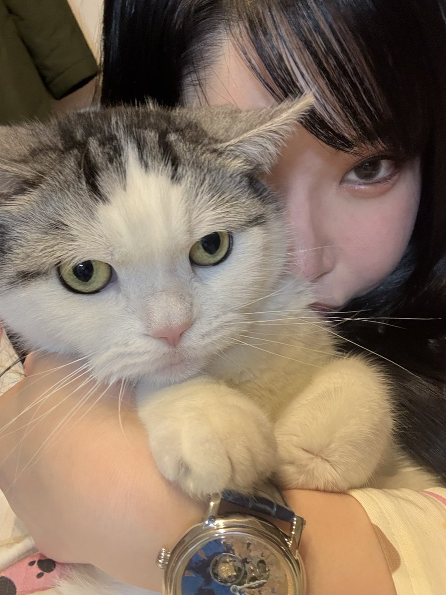 わらびーむなつなの。『なつなつ』 (@warabin2525natu) / Posts / X