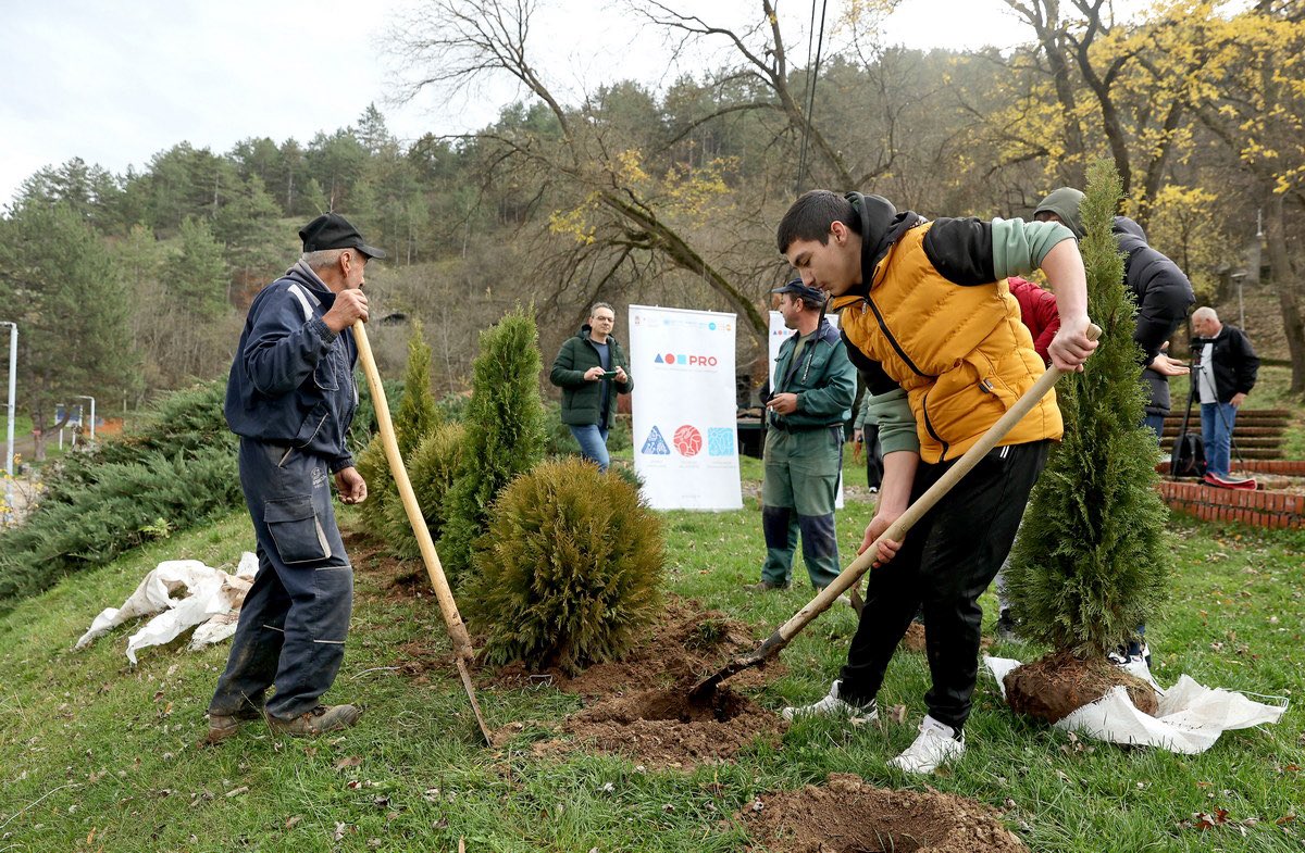 PRO_Programme's tweet image. 📢Zaštita prirode na delu u Beloj Palanci! 🌳

🌱40 novih sadnica posađeno je u parku Vrelo u okviru @PRO_Programme - što će doprineti očuvanju prirode, unapređenju javnog prostora i stvaranju zdravijeg okruženja za sve građane. 
#switzerlandinserbia 

🔗bit.ly/4pPEUUy