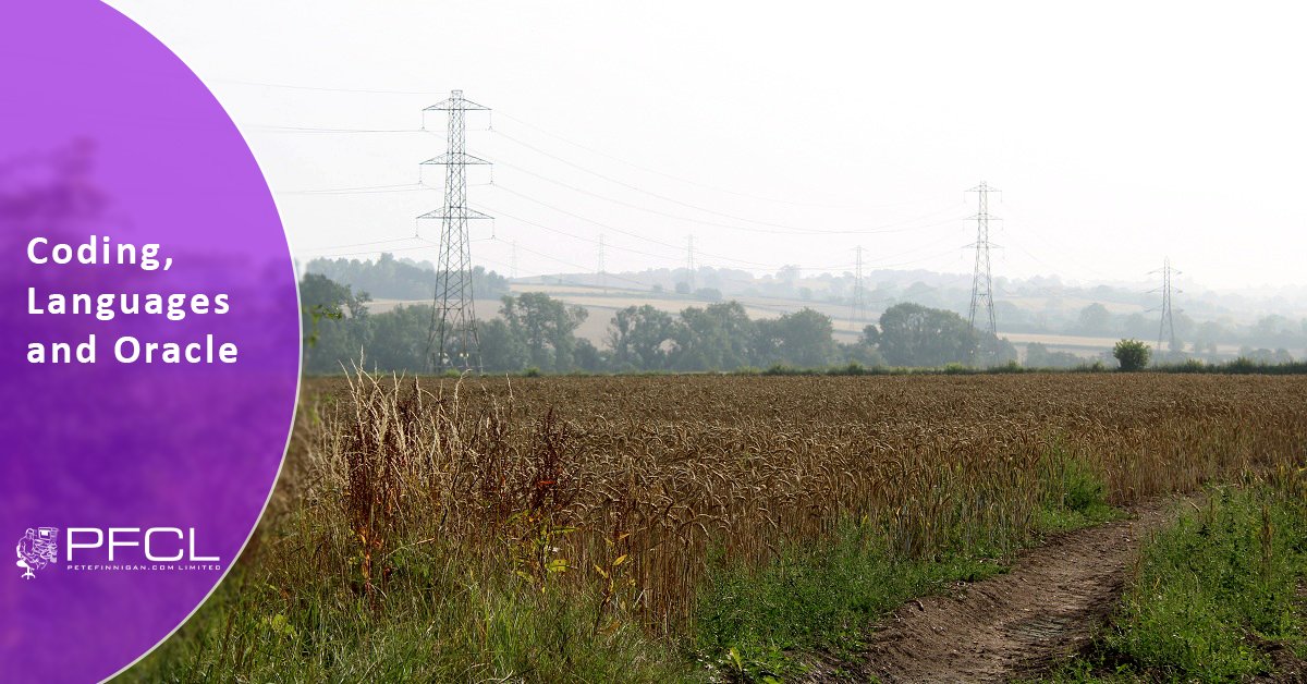 petefinnigan's tweet image. Coding, Languages and Oracle. - petefinnigan.com/weblog/archive… - 

#oracleace #securecode #securecoding #plsql