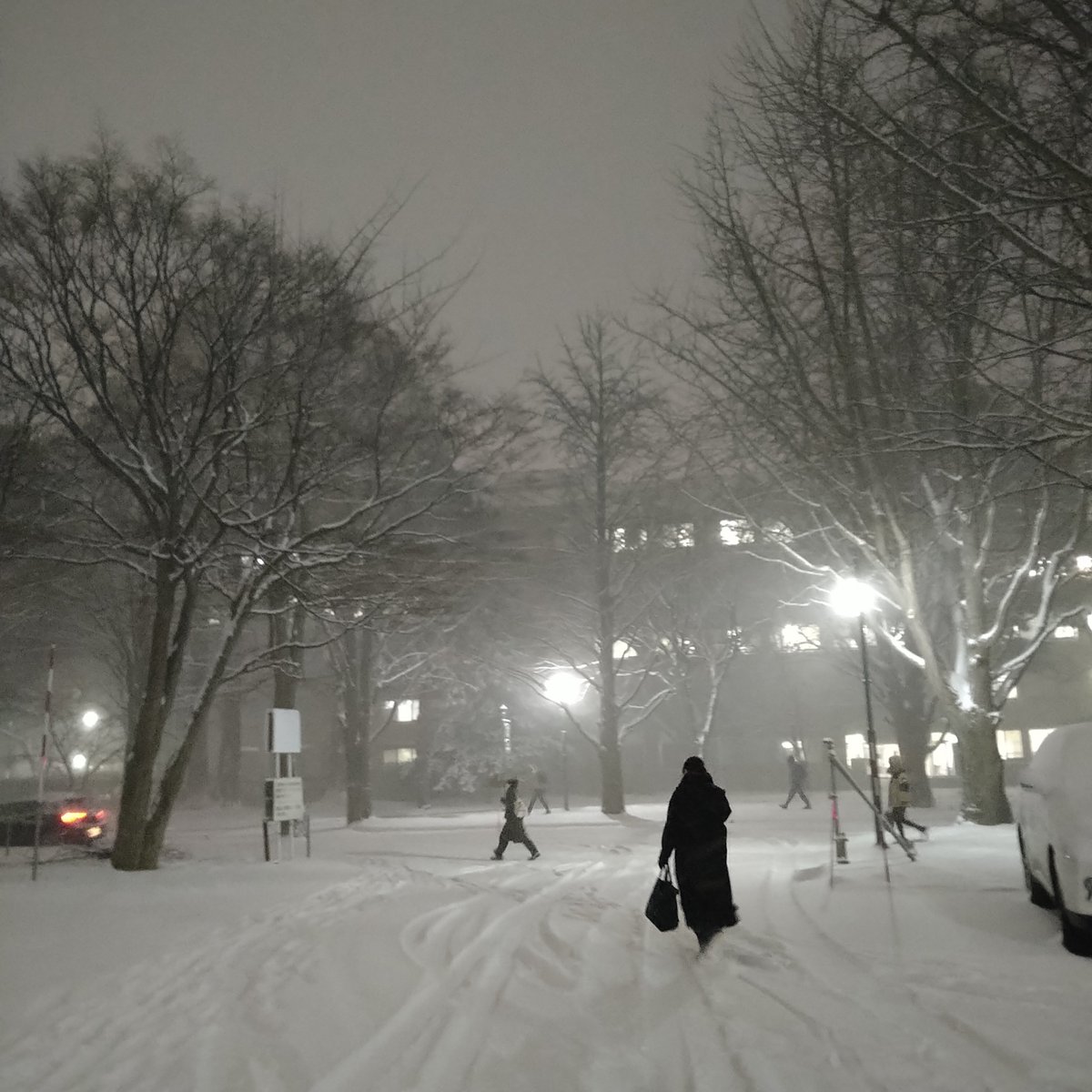 藤野 羽衣子 tweet media