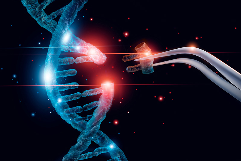 QUB Pharmacy School tweet media