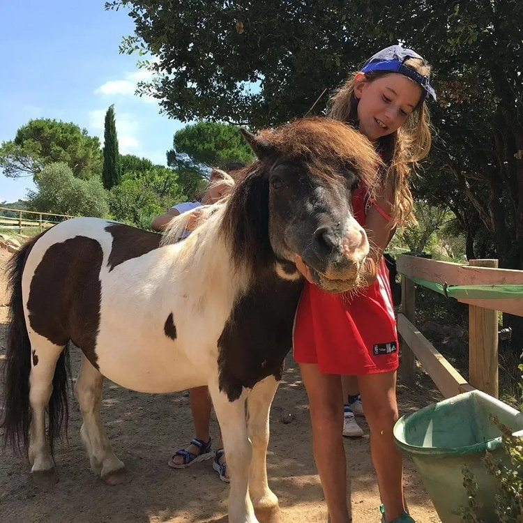 socpetitcat's tweet photo. https://t.co/eIZmjFah8U
Aquest Nadal, sorprèn amb experiències familiars plenes de natura, aventura i records inesborrables. Descobreix les 10 millors propostes! 🎁✨
#nadal #regals #experiencies #fentpais #socpetit @fentpaiscat https://t.co/lXJH5orKoa
