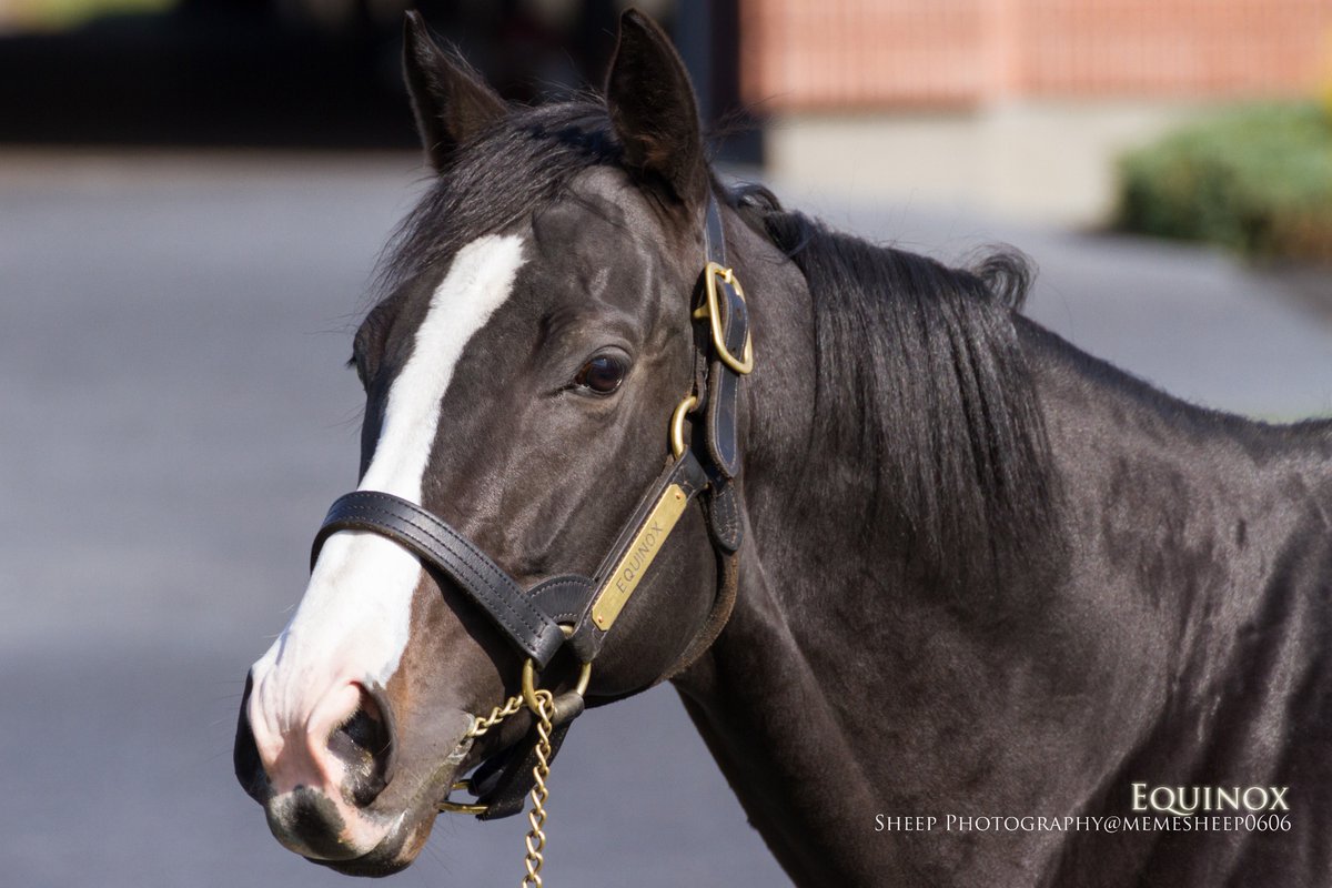 イクイノックス