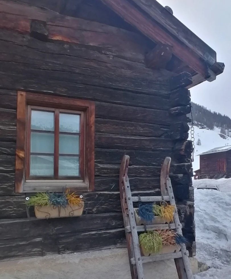 Gianna2119's tweet image. #AlphabetChallenge
#WeekWForWindows
❄️❄️Livigno