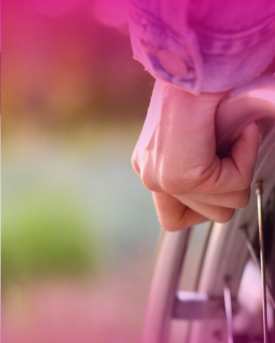 International Presentation Association at the UN tweet media