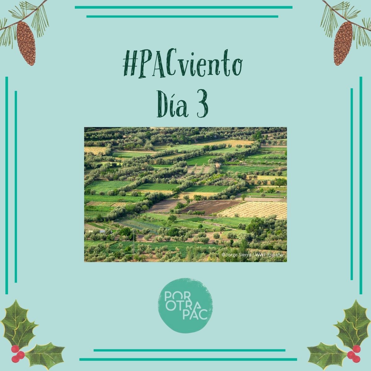 PorOtraPAC's tweet image. 🌿 Día 3 de nuestro Calendario de #PACviento

Los paisajes en mosaico son el símbolo de un campo diverso frente al modelo de concentración que fomenta la #PAC (el 80% va al 20% de grandes explotaciones)

15 propuestas para una futura #PAC + justa👉 linkedin.com/posts/coalici%…
