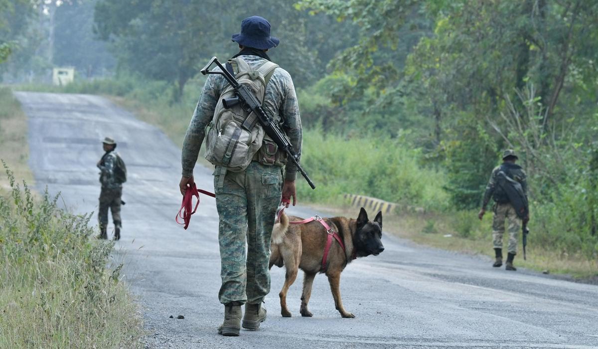 Paramilitary_in's tweet photo. Big Breaking......

बस्तर के बीजापुर-दंतेवाड़ा सीमा के जंगलों में जवानों और नक्सलियों की मुठभेड़ में 2 जवानों के शह���द होने और 2 जवानों के घायल होने और 5 नक्सलियों के मारे जाने की सूचना मिल रही है ।

More details awaited......

#crpf #chhatisgarh #bijapur #baster 
@youareYukesh https://t.co/wZYU3QfSsK