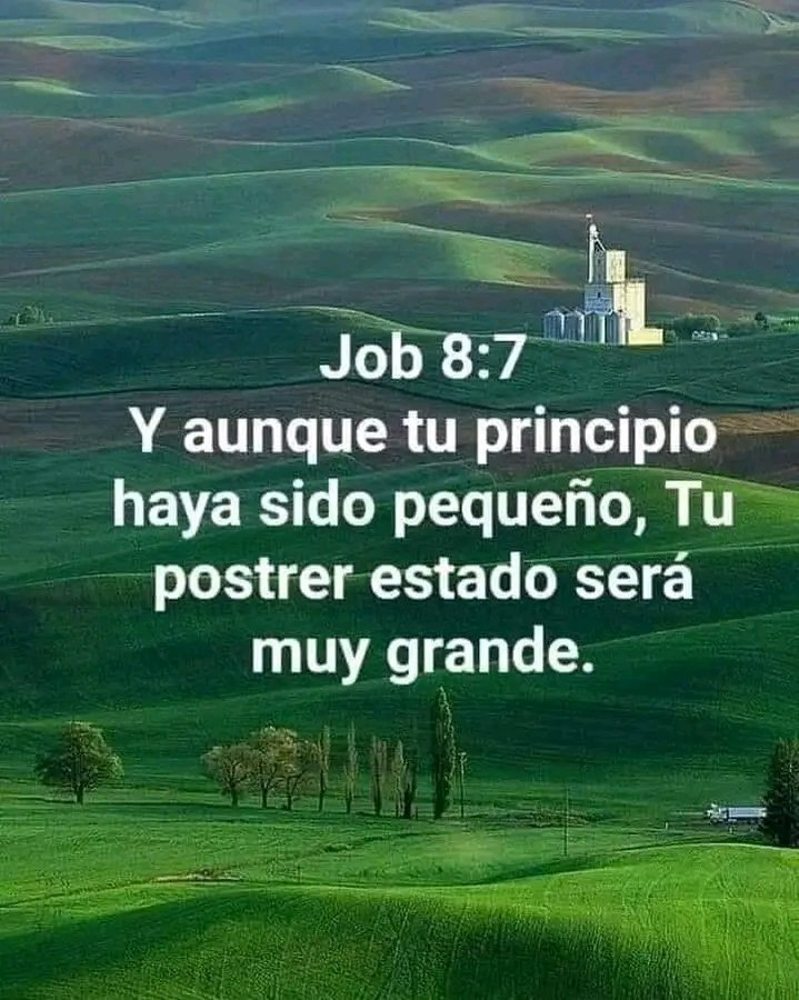 JOB 8📖
5 Si tú de mañana buscares a Dios,
Y rogares al Todopoderoso;
6 Si fueres limpio y recto,
Ciertamente luego se despertará por ti,
Y hará próspera la morada de tu justicia.
7 Y aunque tu principio haya sido pequeño,
Tu postrer estado será muy grande.