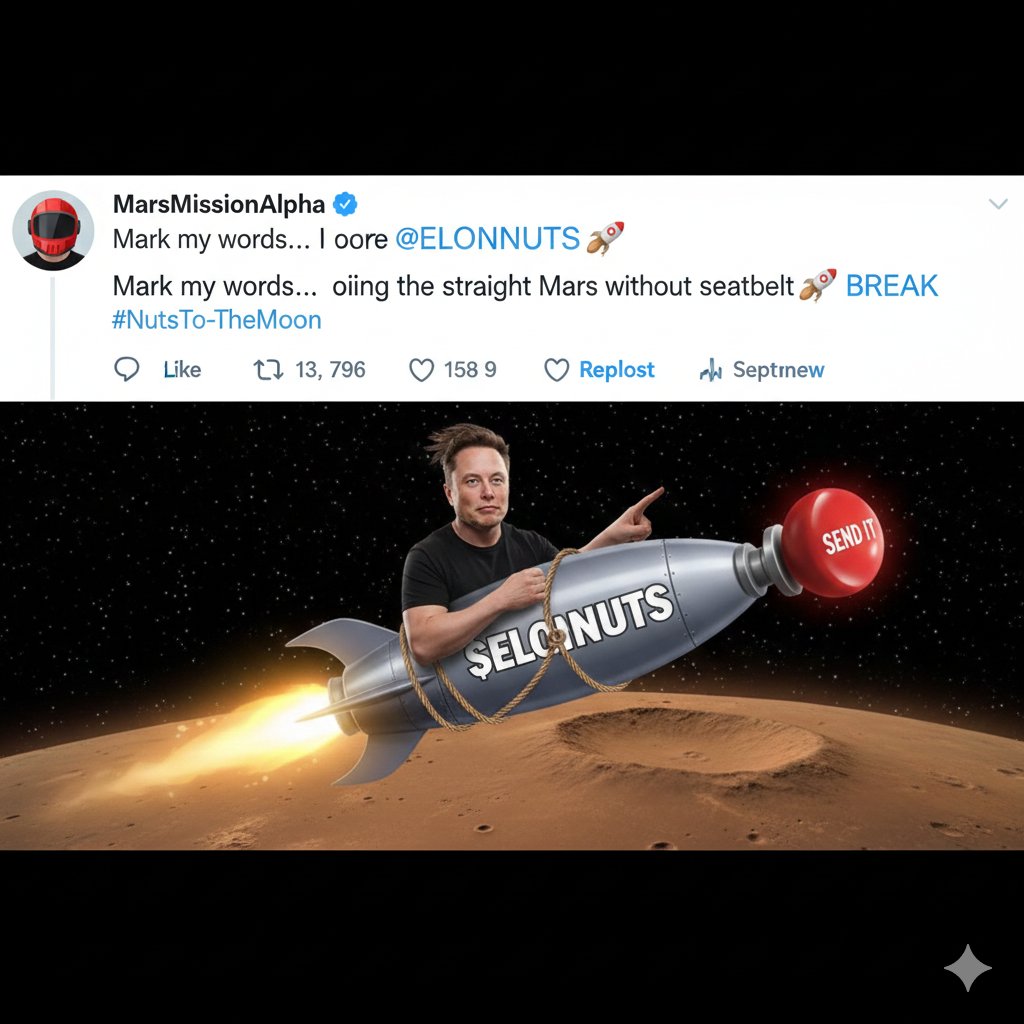 SKuri612's tweet photo. “Mark my words… this one is going straight to Mars without a seatbelt 🚀🥜” https://t.co/72HSb11lUB