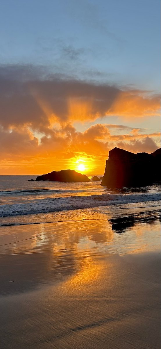 Pete nelson tweet media