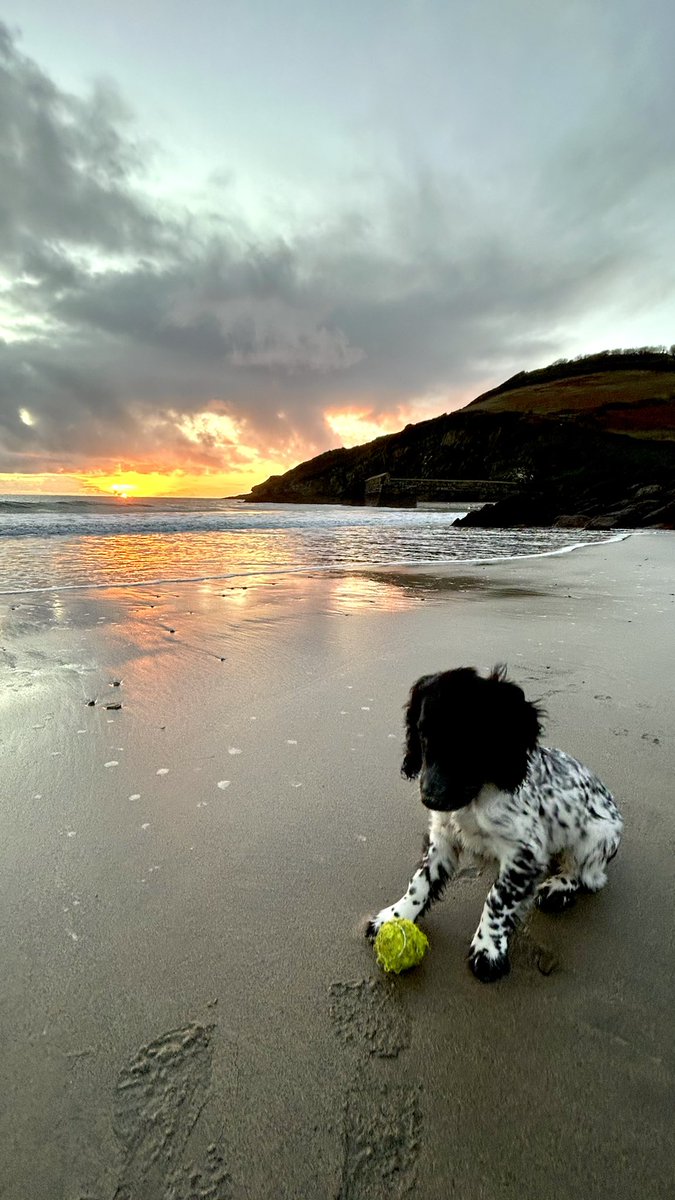 Pete nelson tweet media