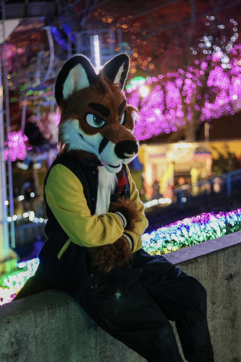 （まだ来ないかな〜、早く会いたいな〜🎡✨）

#ケモノフォーカス
#FursuitEveryday